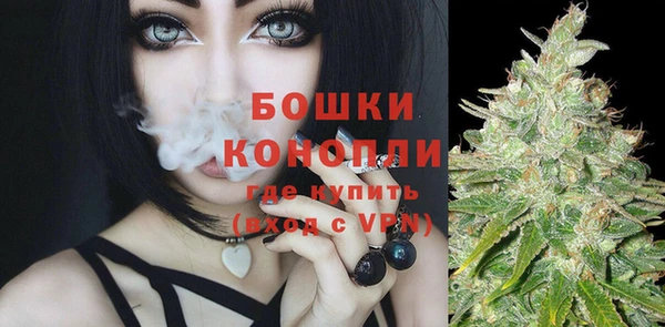 гашик Заполярный
